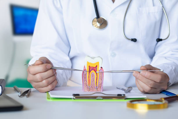 Best Knocked-Out Tooth Emergency  in Alum Rock, CA